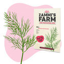 Zestaw nasion ziół do grilla – Zammi's Farm