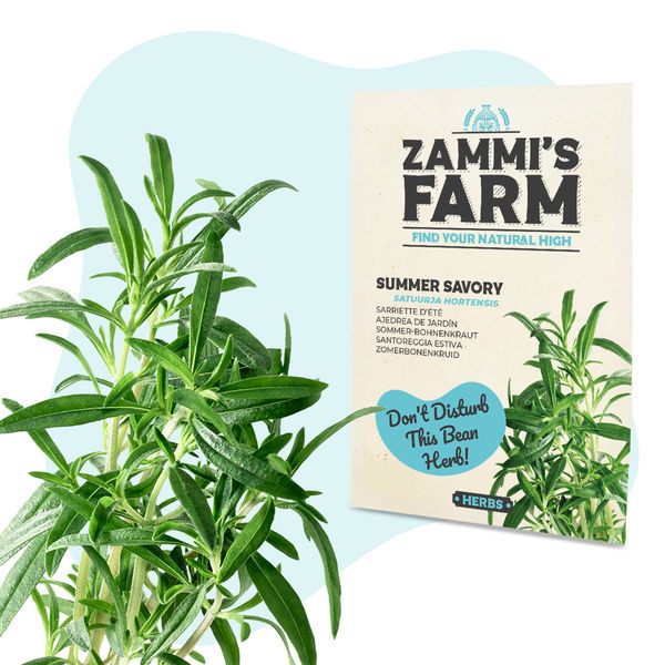 Zestaw nasion ziół na herbatę – Farma Zammiego