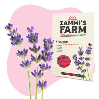 Zestaw nasion ziół na herbatę – Farma Zammiego