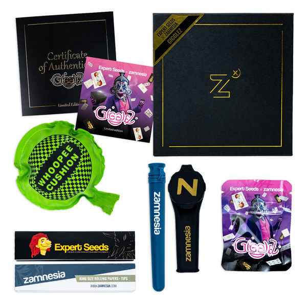 Gigglez (Expert Seeds x Zamnesia) feminizowane