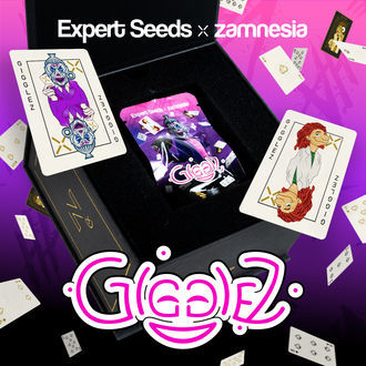 Gigglez (Expert Seeds x Zamnesia) feminizowane