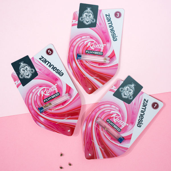 Runtz F1 Automat (Zamnesia Seeds) nasiona marihuany feminizowane