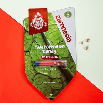 Watermelon Candy F1 Automat (Zamnesia Seeds) feminizowane