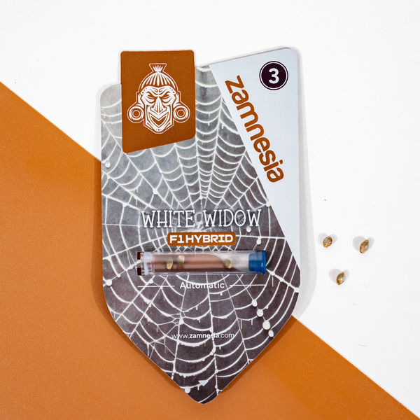 White Widow F1 Automat (Zamnesia Seeds) nasiona feminizowane