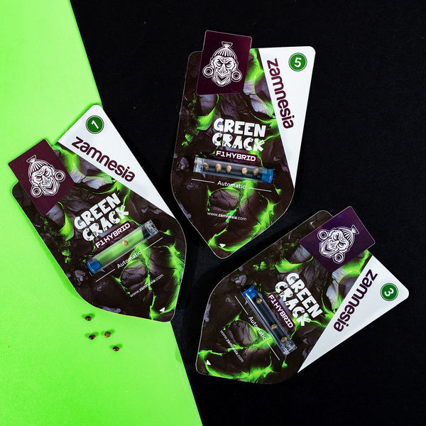 Green Crack F1 Automat (Zamnesia Seeds) feminizowane