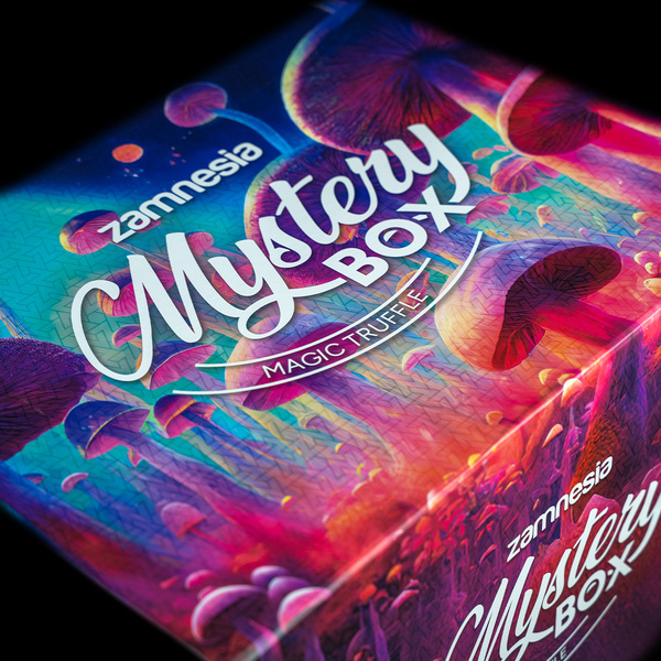 Magiczna Trufla Niespodzianka Box (Zamnesia)
