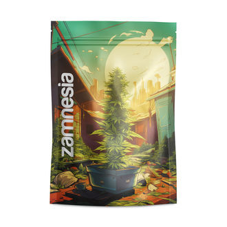 Saint Andreas torby Z-Lock (duże)