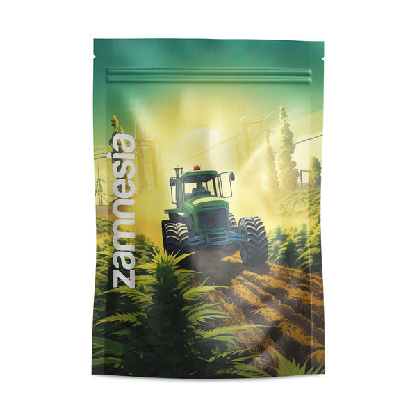 Saint Andreas torby Z-Lock (duże)