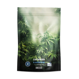 Potworne Potwory Torby Z-Lock (duże)