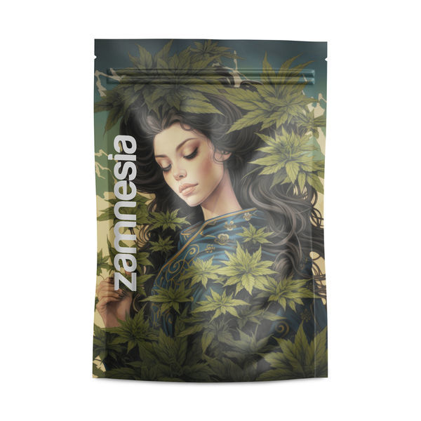 Japońskie torby Z-Lock na skrytkę (duże)