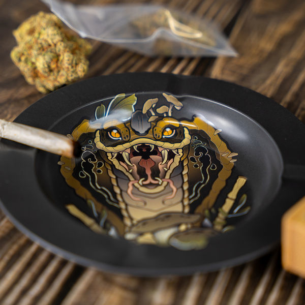 Wschodząca Kobra - Metalowa popielniczka (TRIBE)