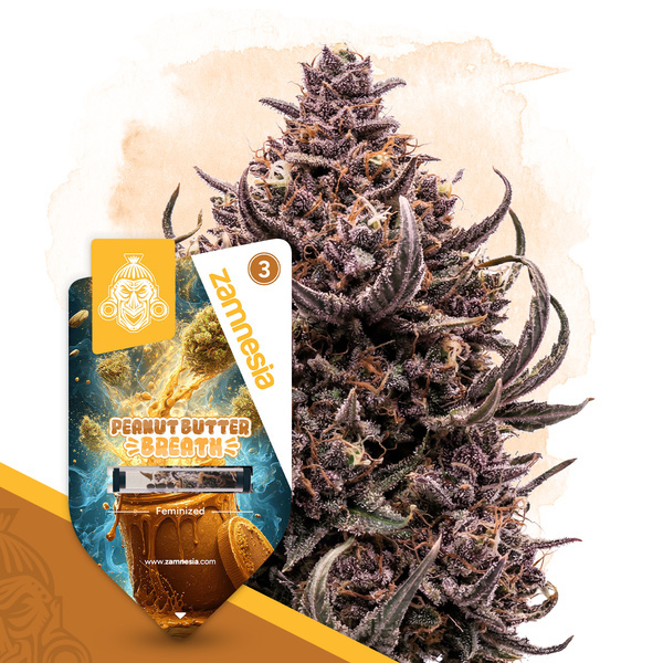 Peanut Butter Breath (Zamnesia Seeds) Feminizowane