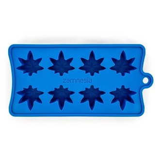 Forma do lodu Zamnesia