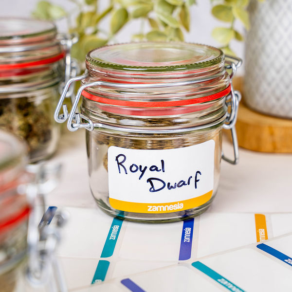 Naklejki do etykietowania (Zamnesia) 50 szt.