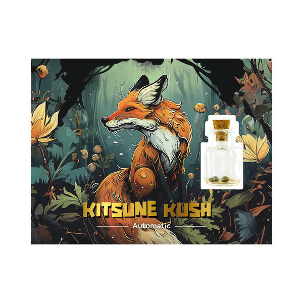 Kitsune Kush Automat (Zamnesia Seeds) feminizowane