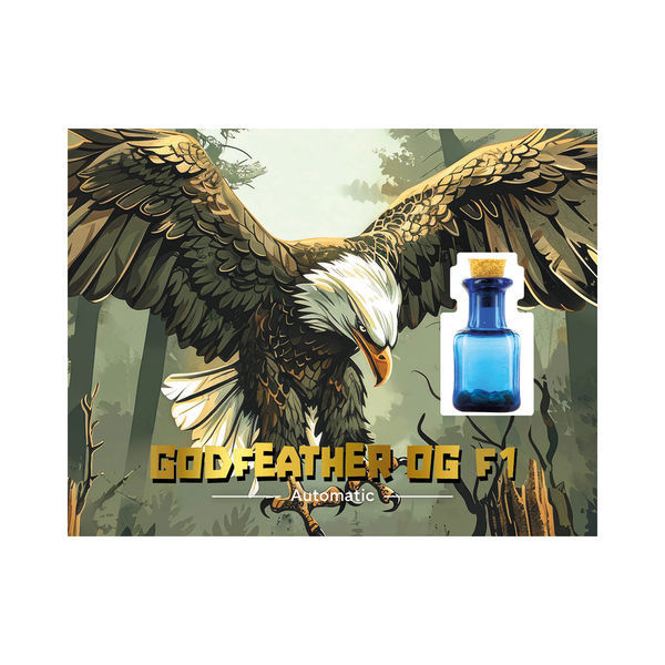 Godfeather OG F1 Automat (Zamnesia Seeds) feminizowane