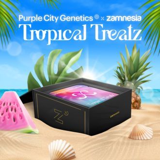 Tropical Treatz (Purple City Genetics x Zamnesia Seeds) nasiona marihuany feminizowane