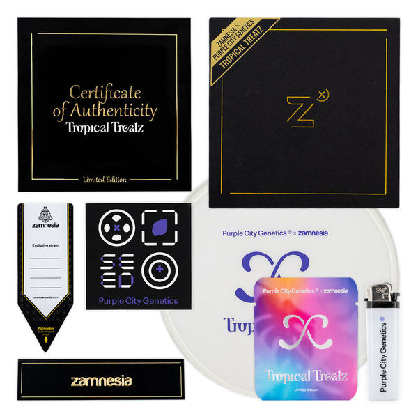 Tropical Treatz (Purple City Genetics x Zamnesia Seeds) nasiona marihuany feminizowane