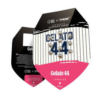 Gelato 44 (Royal Queen Seeds) feminizowane