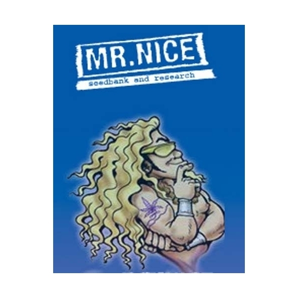 NL5 x Afghan (Mr. Nice) Regularne