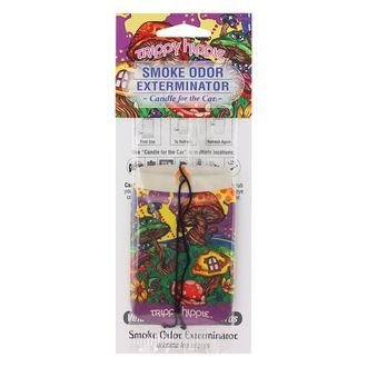 Odświeżacz samochodowy (niszczyciel zapachu dymu)