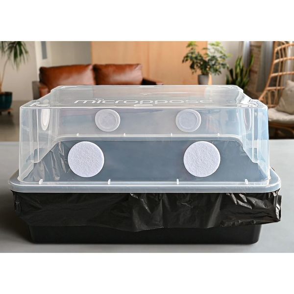 Monotub do uprawy grzybów „Mark 1” (Microppose)