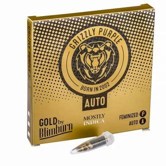 Grizzly Purple Automat (Blimburn Seeds) nasiona marihuany feminizowane