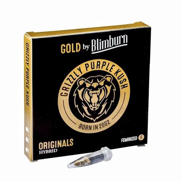 Grizzly Purple Kush (Blimburn Seeds) feminizowane