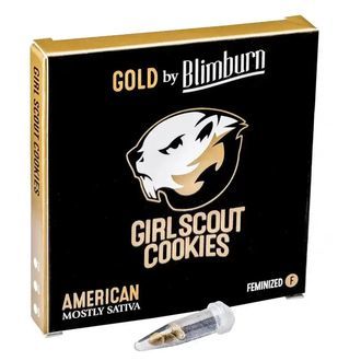 Girl Scout Cookies (Blimburn Seeds) feminizowane