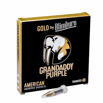 Granddaddy Purple (Blimburn Seeds) feminizowane