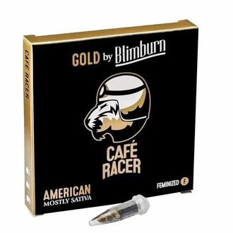 Cafe Racer (Blimburn Seeds) feminizowane