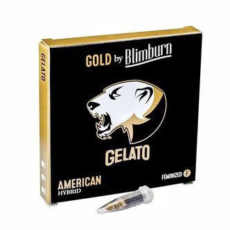 Gelato (Blimburn Seeds) feminizowane