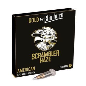 Scrambler Haze (Blimburn Seeds) feminizowane