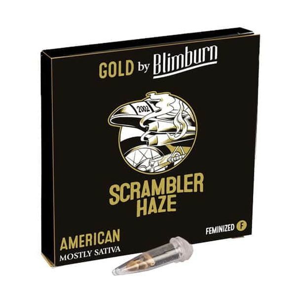 Scrambler Haze (Blimburn Seeds) feminizowane