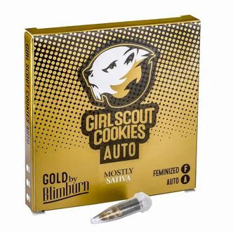 Girl Scout Cookies Automat (Blimburn Seeds) feminizowane