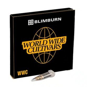 Bubble Gum Sherb (Blimburn Seeds) feminizowane