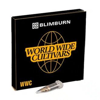 Bubble Gum Sherb (Blimburn Seeds) feminizowane