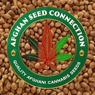 Herat (Afghan Seed Connection) Regularne