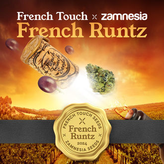 French Runtz (French Touch Seeds x Zamnesia Seeds) feminizowane