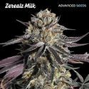 Zerealz Milk (Advanced Seeds) feminizowane