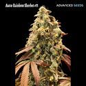 Auto Rainbow Sherbet 11 (Advanced Seeds) Feminizowane