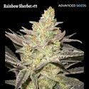 Rainbow Sherbet #11 (Advanced Seeds) feminizowane