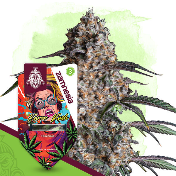 Wild Things Pack - Odmiany feminizowane