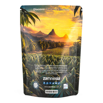 Pakiet Landrace – odmiany feminizowane