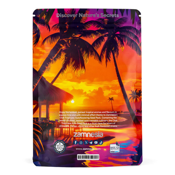 Zestaw Club Tropicana – odmiany Automat