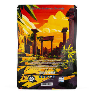 Klasyczny pakiet Legend - odmiany Automat