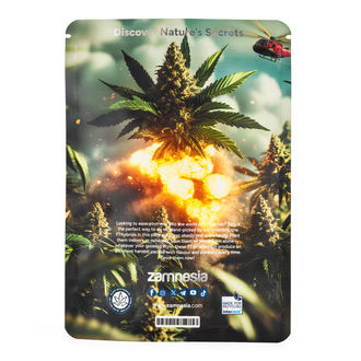 Zestaw F1 Power Pack – nasiona hybrydowe F1