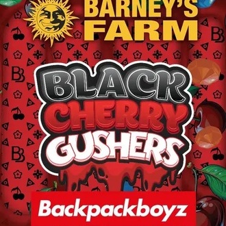 Black Cherry Gushers (Barney's Farm x Backpackboyz) nasiona marihuany feminizowane