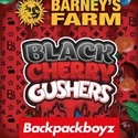 Black Cherry Gushers (Barney's Farm x Backpackboyz) nasiona marihuany feminizowane