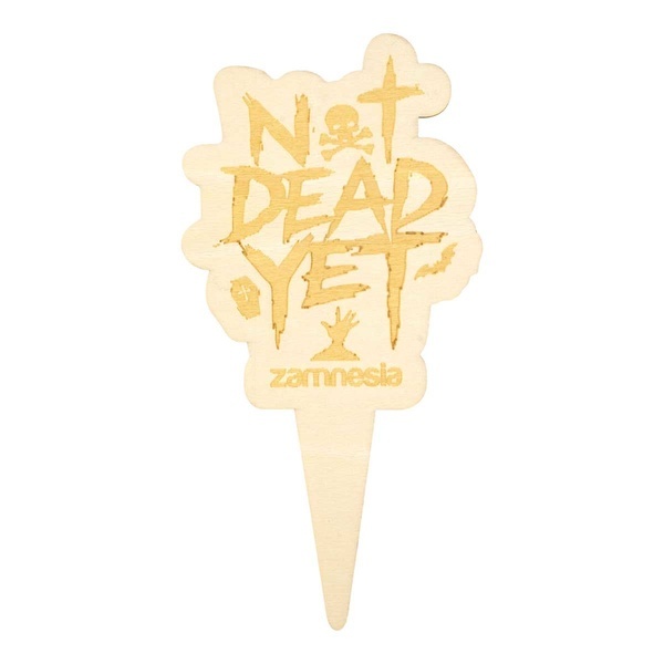 Drewniane znaczniki do doniczek (Zamnesia)